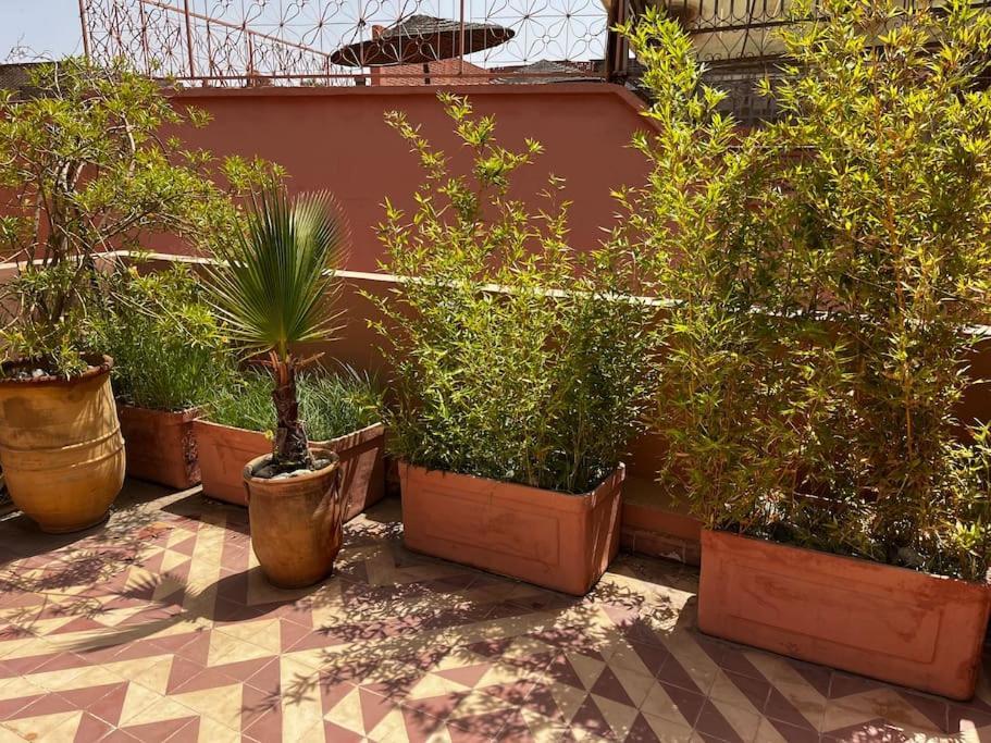 Riad Nadara, Superbe Riad Au Coeur De La Medina! Марракеш Екстер'єр фото